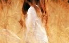 狙击部队电视剧全集爱奇艺